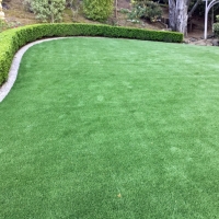 Artificial Grass Blue Ridge Texas Lawn