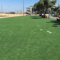 Artificial Grass Simonton, Texas Landscape Ideas, Recreational Areas