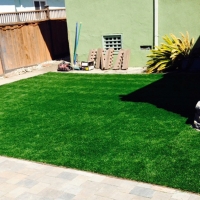 Artificial Pet Grass Kingsland Texas for Dogs Back Yard