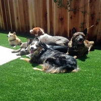 Artificial Pet Grass La Coste Texas for Dogs