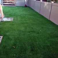 Artificial Pet Turf Bruceville-Eddy Texas Installation Back