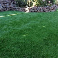 Artificial Pet Turf Highland Haven Texas for Dogs Back Yard