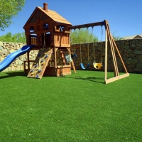 Fake Grass Geronimo Texas Playgrounds Back Yard