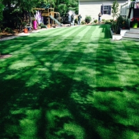 Fake Lawn East Bernard, Texas Landscape Ideas, Small Backyard Ideas