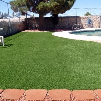 Fake Pet Grass Moody Texas Installation Swimming Pools