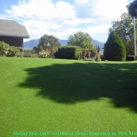 Fake Pet Grass Sunset Valley Texas Installation Back Yard