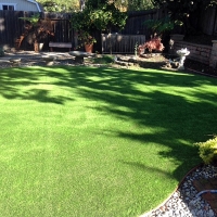 Fake Pet Grass Yorktown Texas Installation Back Yard