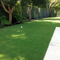 Fake Pet Turf Converse Texas Installation