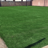 Fake Turf Sports Applications Granite Shoals Texas