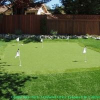 Golf Putting Greens Barton Creek Texas Fake Grass Back Yard