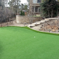 Putting Greens Golinda Texas Artificial Turf Back Yard