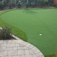 Putting Greens Kirby Texas Fake Grass Back Yard