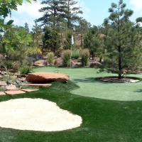 Putting Greens McGregor Texas Fake Grass Back Yard