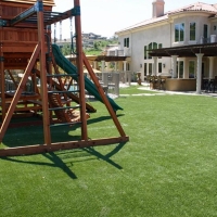 Synthetic Grass Lakeway Texas Playgrounds Back Yard