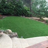 Synthetic Grass Robinson Texas Landscape