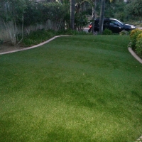 Synthetic Lawn Wallis, Texas Garden Ideas, Small Front Yard Landscaping