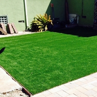 Synthetic Pet Grass Garden Ridge Texas Installation Grass