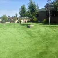 Synthetic Pet Grass Round Rock Texas for Dogs Recreational