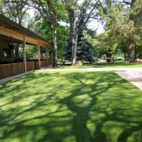 Synthetic Pet Grass Smithville Texas Installation Back Yard