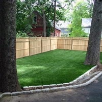 Synthetic Pet Turf Kingsland Texas Installation Back Yard