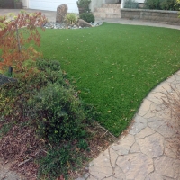 Synthetic Pet Turf Lometa Texas Installation Back Yard