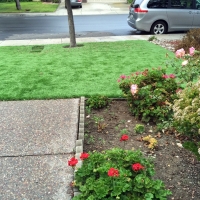 Synthetic Pet Turf Lott Texas for Dogs Front Yard