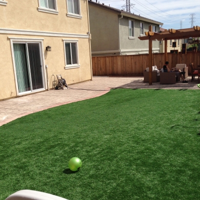 Artificial Grass Brookshire, Texas Lawn And Garden, Backyard Makeover