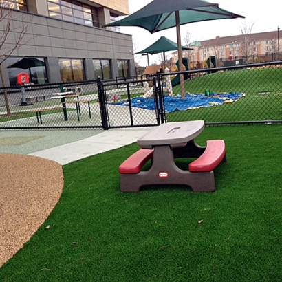 Artificial Grass Grey Forest Texas Playgrounds Swimming