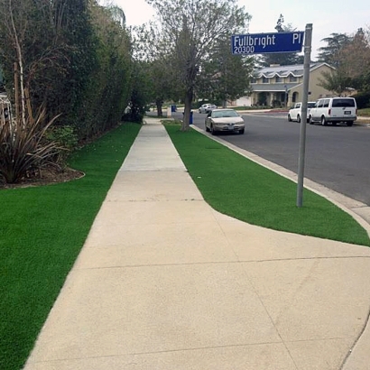 Artificial Grass Hornsby Bend Texas Landscape Front Yard