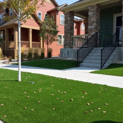 Artificial Grass Onion Creek Texas Landscape Front Yard