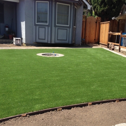 Artificial Grass Robinson Texas Lawn Back Yard