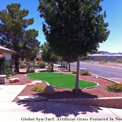 Artificial Grass Rollingwood Texas Landscape Front Yard
