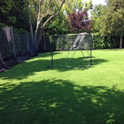 Artificial Grass Sports Applications Canyon Lake Texas Back