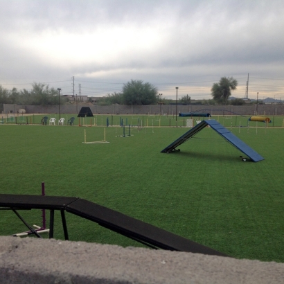 Artificial Grass Sports Fields Sparks Texas Recreational
