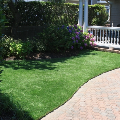 Artificial Pet Grass Carmine Texas Installation Front Yard