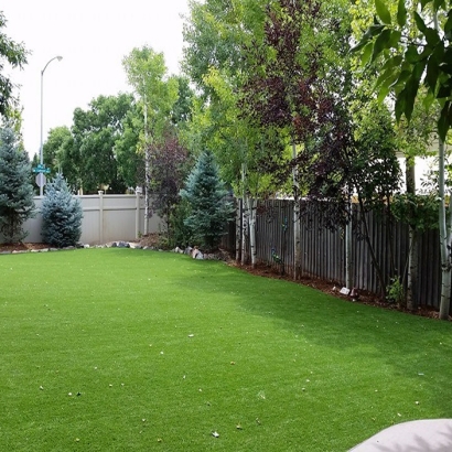 Artificial Pet Grass Lakehills Texas for Dogs Back Yard