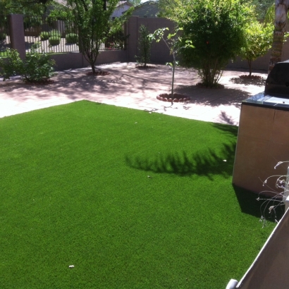 Artificial Pet Grass Millican Texas for Dogs