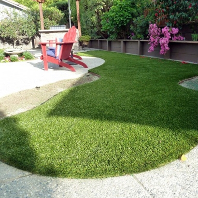 Artificial Pet Turf Blue Ridge Texas Installation