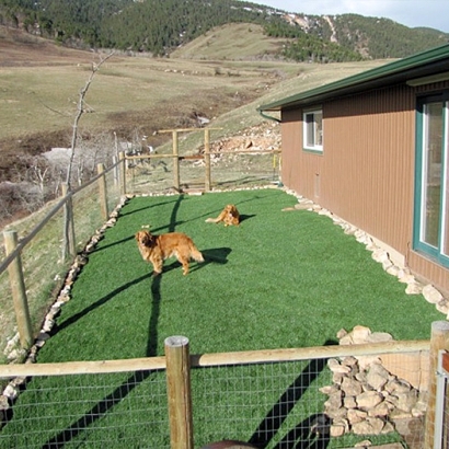 Artificial Pet Turf Buda Texas Installation Dogs Back Yard