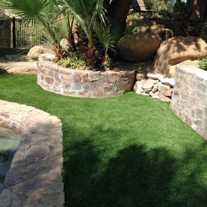 Artificial Pet Turf Schertz Texas for Dogs Swimming Pools