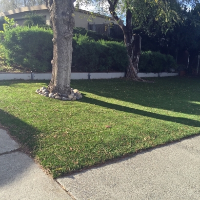 Artificial Turf College Station Texas Lawn Front Yard