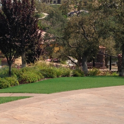 Artificial Turf Ingram Texas Lawn Commercial Landscape Back
