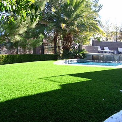 Artificial Turf La Coste Texas Landscape