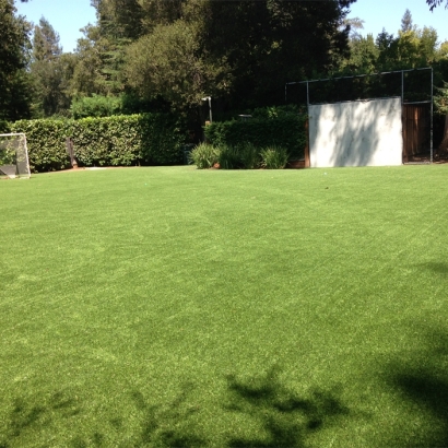 Artificial Turf Sports Applications Milano Texas Back Yard