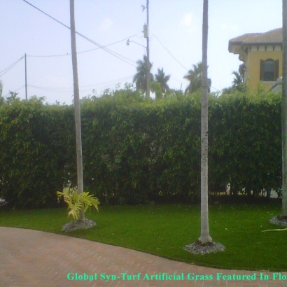 Artificial Turf West Lake Hills Texas Landscape Front Yard