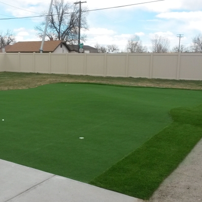 Best Artificial Grass Leming, Texas Best Indoor Putting Green, Backyard Design