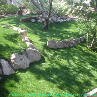 Fake Grass Rollingwood Texas Landscape Pavers Commercial