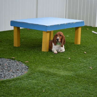 Fake Lawn San Felipe, Texas Grass For Dogs, Dogs Runs