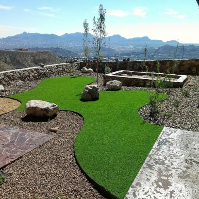 Fake Pet Grass Kingsbury Texas for Dogs Back Yard