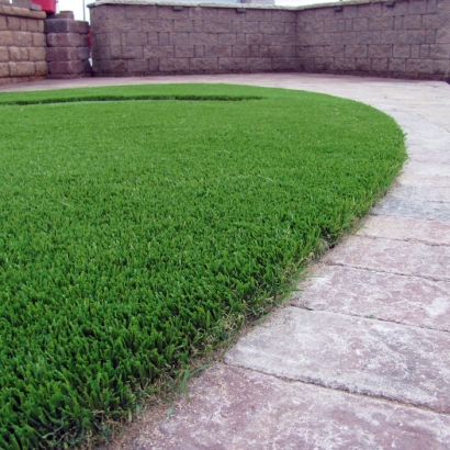 Fake Pet Grass Milano Texas for Dogs Pavers Front Yard